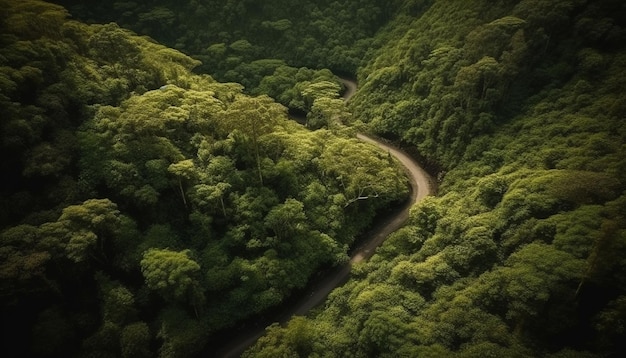 Free photo green meadow curves through mountain range summer adventure generated by ai