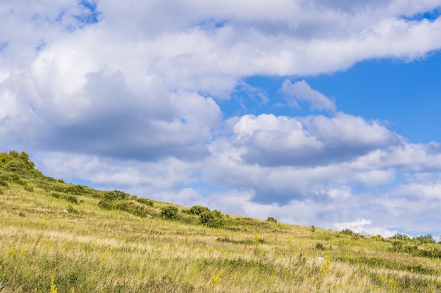 Green meadow on a hill at the foot of the Shihan of Toratau