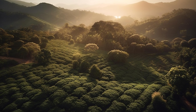 Foto gratuita scena tranquilla del tramonto della catena montuosa del prato verde generata dall'intelligenza artificiale