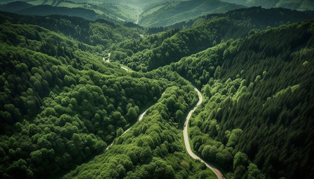 Foto gratuita prato verde catena montuosa tranquilla avventura nella natura selvaggia generata dall'intelligenza artificiale