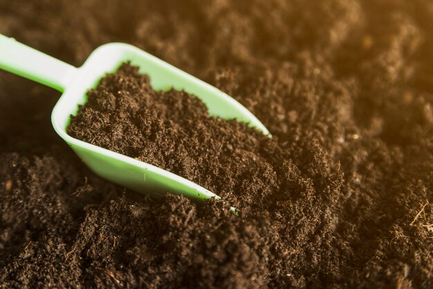Green measuring scoop in the dark soil