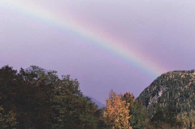 Бесплатное фото Зеленая гора под радугой