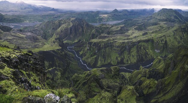 緑の山