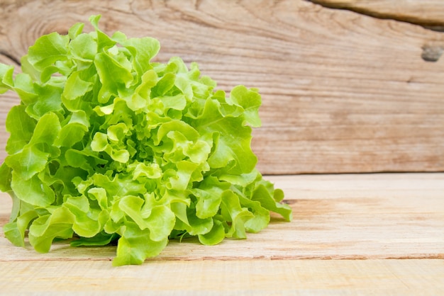 Free photo green oak lettuce