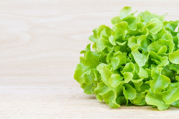 Free photo green oak lettuce