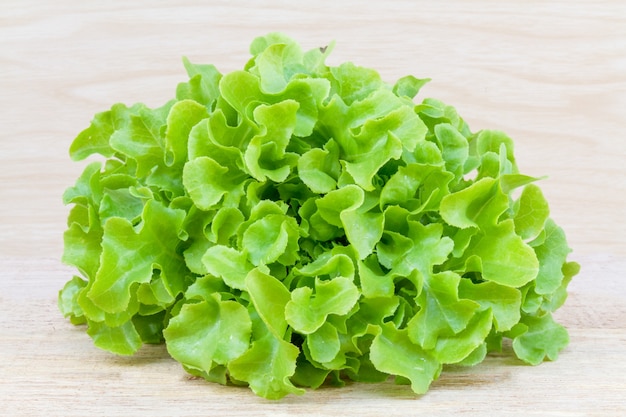 Free photo green oak lettuce