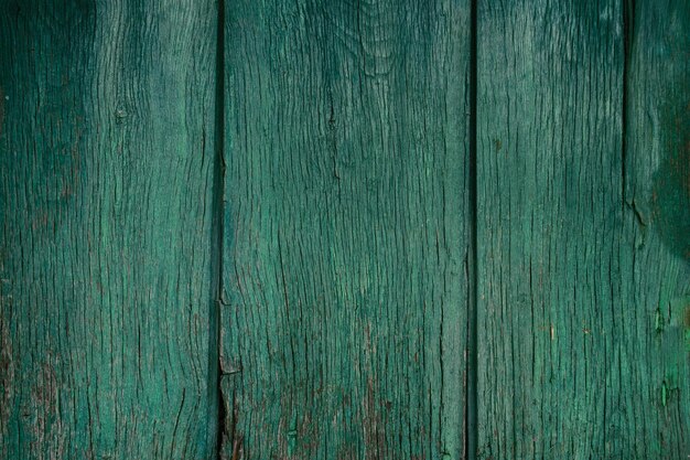 Free photo green old wood background