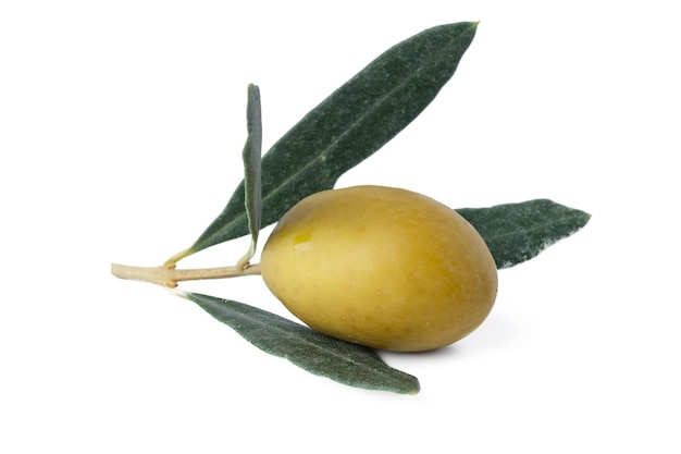 Green Olives with Leaves Isolated on White Background