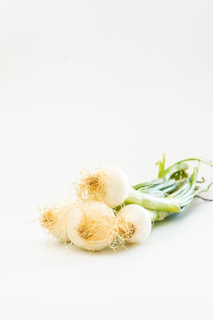 Free photo green onions isolated on a white background