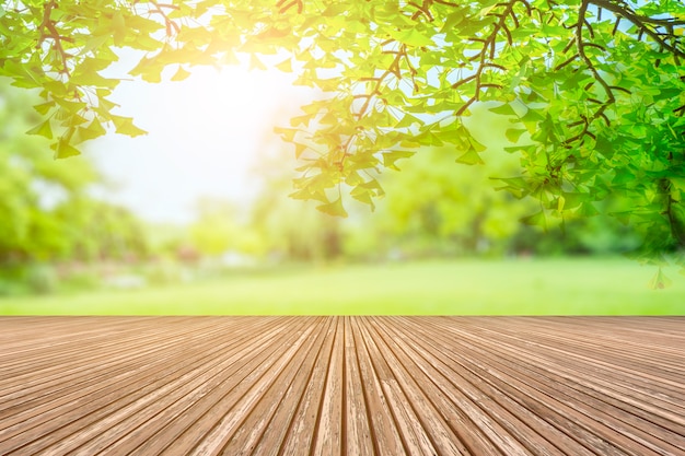 Foto gratuita vista sul parco verde