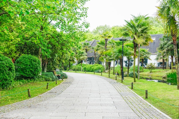 緑の公園の景色