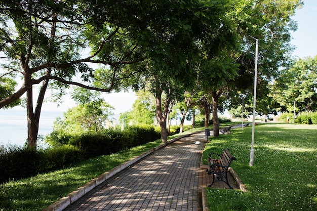 Зеленый парк со скамейками в городе Несебр