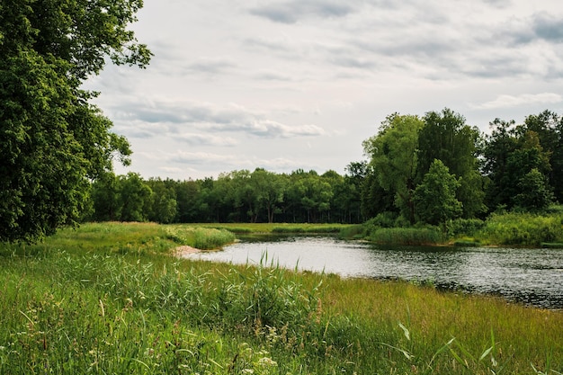 曇りの天気で夏に湖のある緑豊かな公園夏のピークは6月の休暇時間の月です背景またはバナーのアイデア
