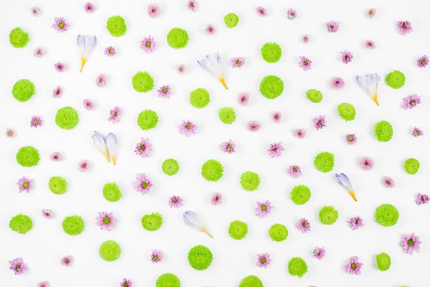 Green; pink and purple flower pattern on white background