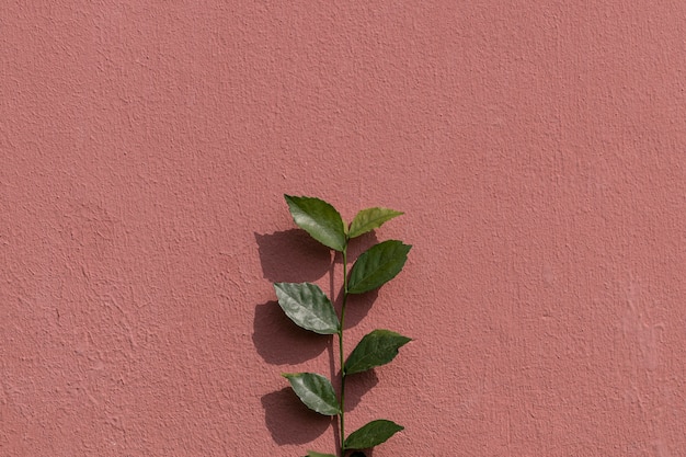 Foto gratuita ramo di pianta verde su un muro di mattoni dipinto in uno sfondo di luce naturale