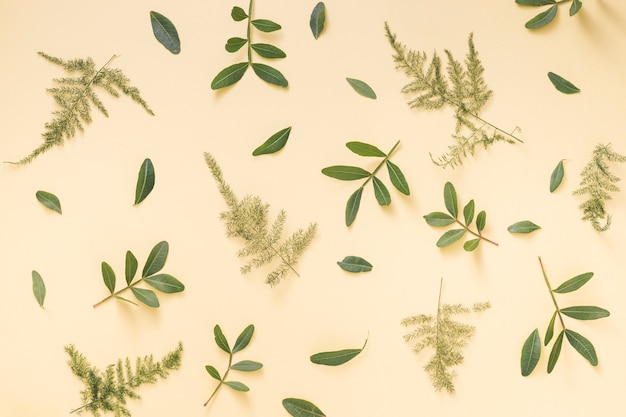 Green plant branches scattered on yellow background 