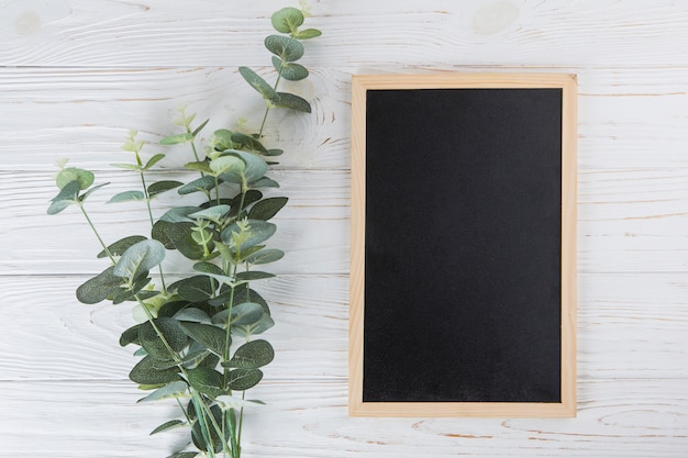 Green plant branches with blank chalkboard on table