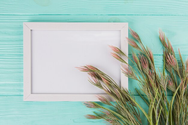 Green plant branches with frame on blue table