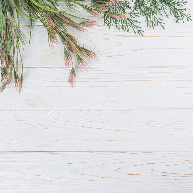 Green plant branches on wooden table