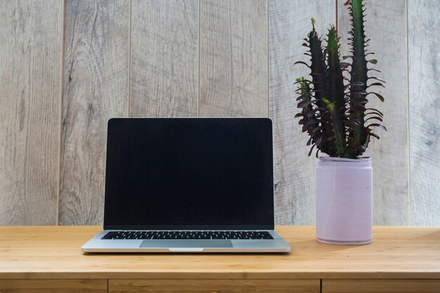 Green plant in can with an open laptop on wooden desk