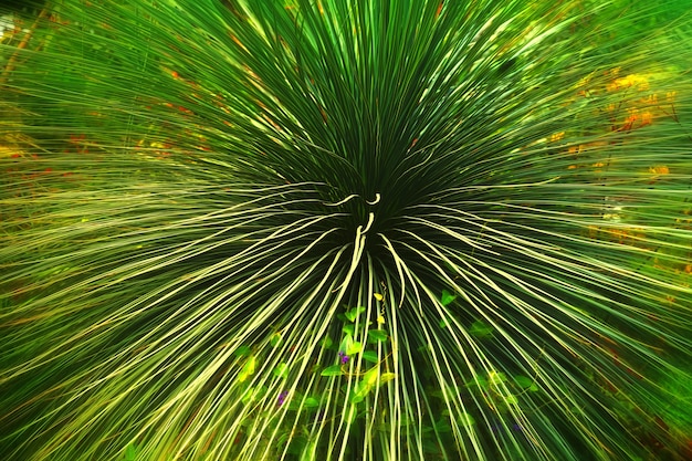 Foto gratuita pianta verde con foglie