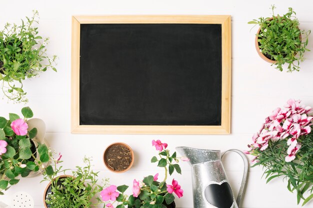 Green plants and blackboard in layout