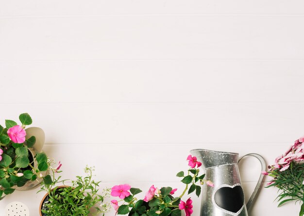 Green plants with watering pot 