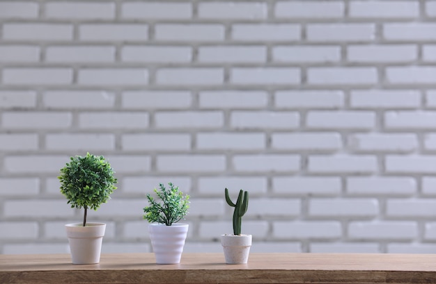 Green pot on the wood table with white wall.