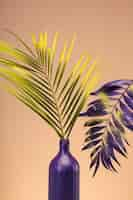 Free photo green and purple exotic leaves still life