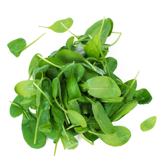Green spinach leaves