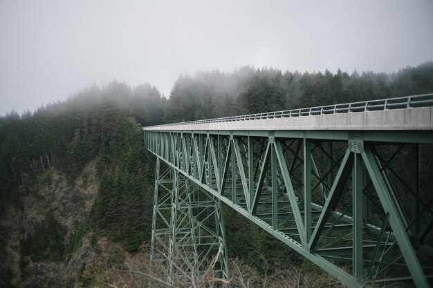 憂鬱な日に霧に覆われた森の緑の鋼のアーチ橋