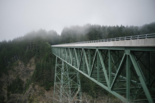 Green steel arch bridge in a forest covered in the fog on a gloomy day