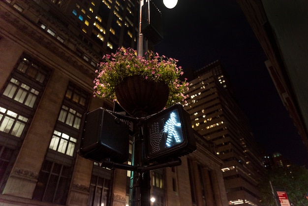 Free photo green traffic light in the city