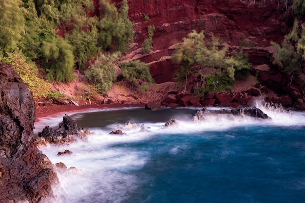 Foto gratuita alberi verdi accanto allo specchio d'acqua