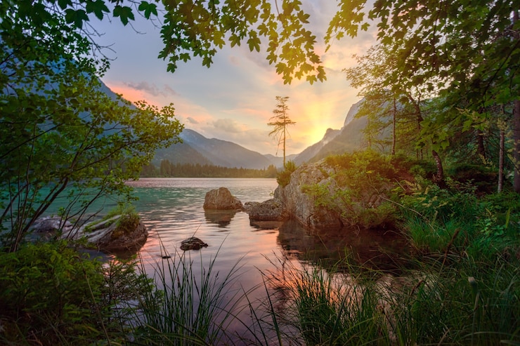Green trees near body of water during daytime