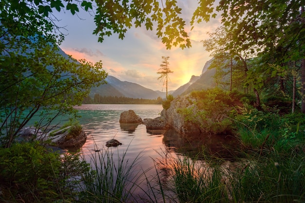 Foto gratuita alberi verdi vicino al corpo idrico durante il giorno