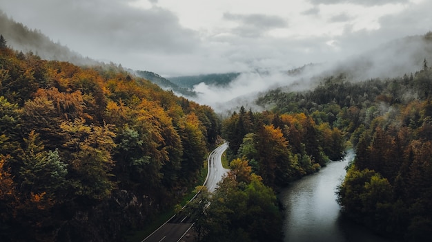 Free photo green trees near road under cloudy sky during daytime