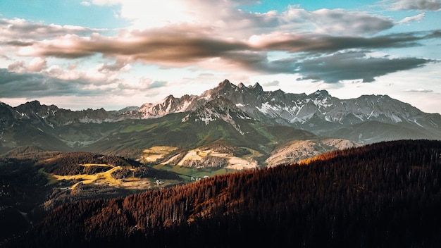 Green trees near snow covered mountain during daytime