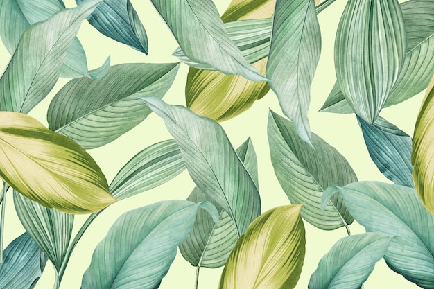 Зеленые тропические листья с рисунком фона