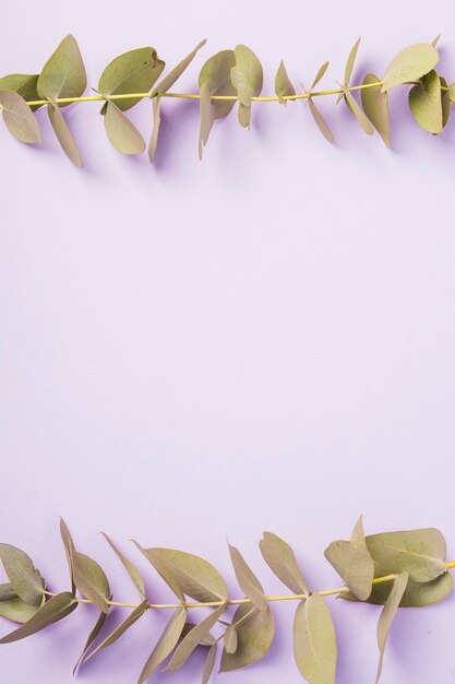 Green twig border over purple background