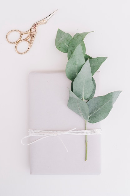 Green twig and package tied with white string on white background