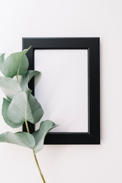 Foto gratuita ramoscello verde con cornice vuota su sfondo bianco