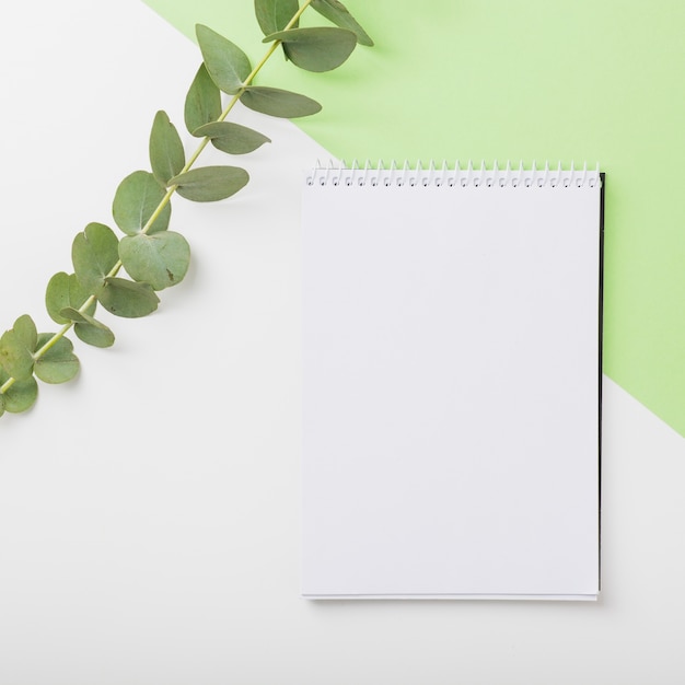 Free photo green twig with blank spiral notebook on dual background
