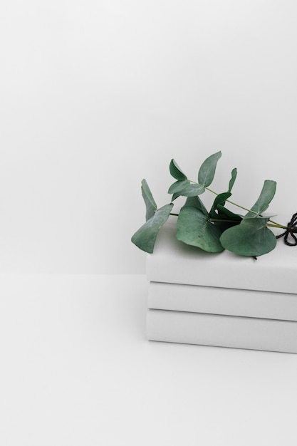 Green twigs on book stacked isolated on white backdrop