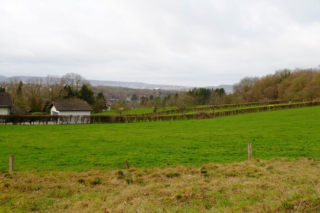 Green valley with trees and a clear sky on the background