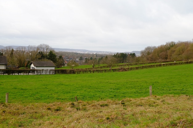 Green valley with trees and a clear sky on the background