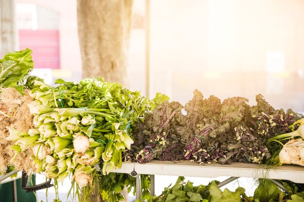 Green vegetables arranged in market for sale