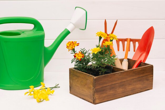 Green watering can near blooms and garden equipment in box near wall