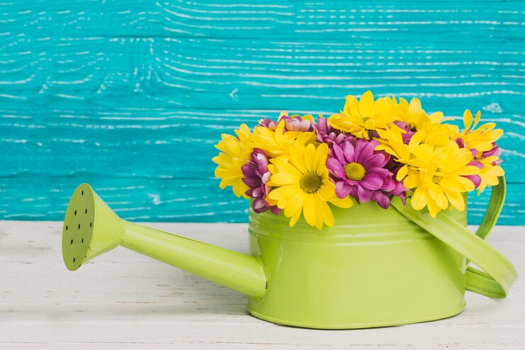Free Photo green watering can with beautiful flowers