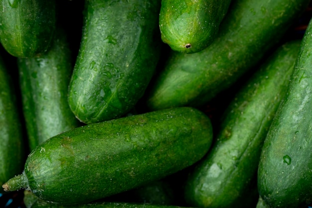 Free photo green whole cucumbers